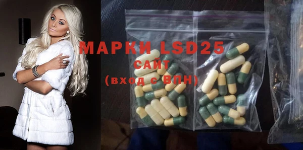 индика Баксан