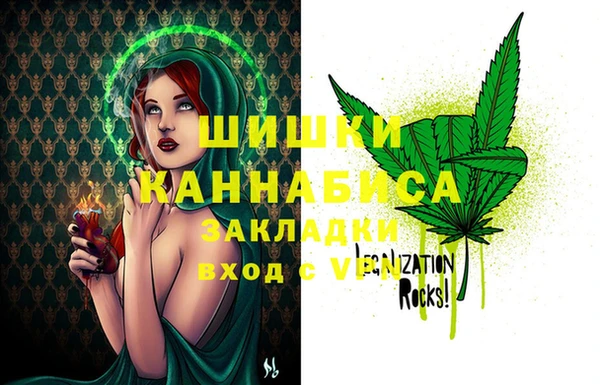 индика Баксан