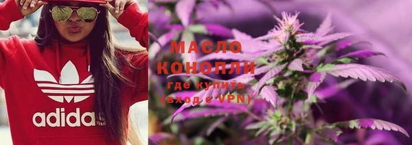 индика Баксан