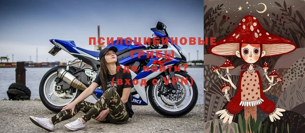 индика Баксан