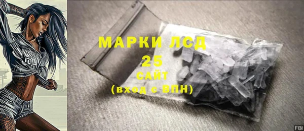 индика Баксан