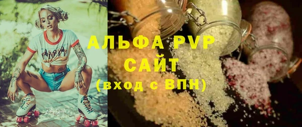 индика Баксан