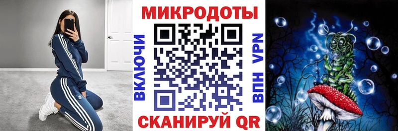 купить   Кувшиново  Галлюциногенные грибы Magic Shrooms 