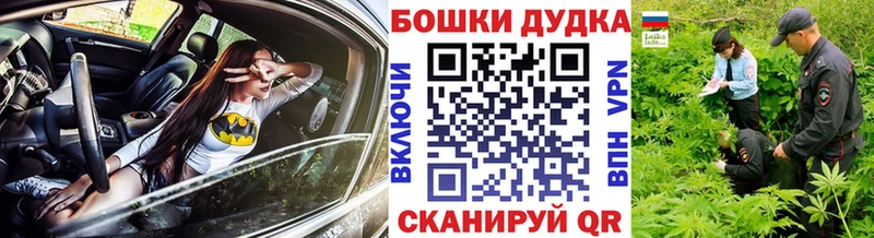 где купить наркоту  Кувшиново  Конопля Amnesia 